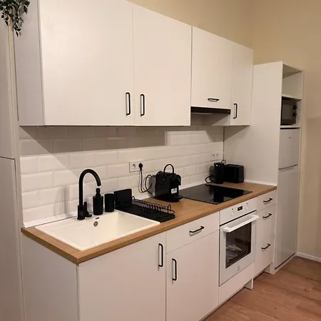 Puskas10 Brand New Modern Cozy With Park View Apartmán *