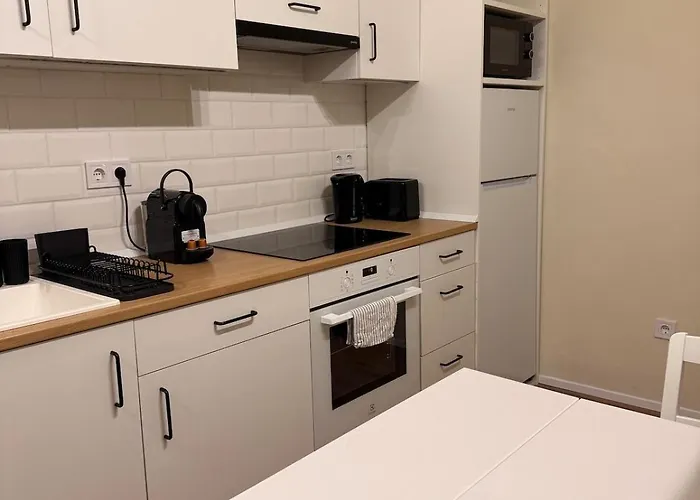 Puskas10 Brand New Modern Cozy With Park View *